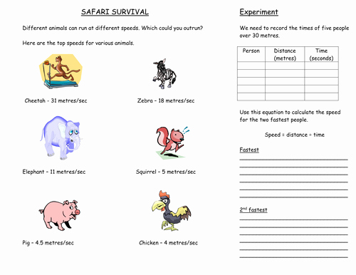 Speed Time and Distance Worksheet Unique Physics Ks3 Worksheet On the Speed Of Animals and