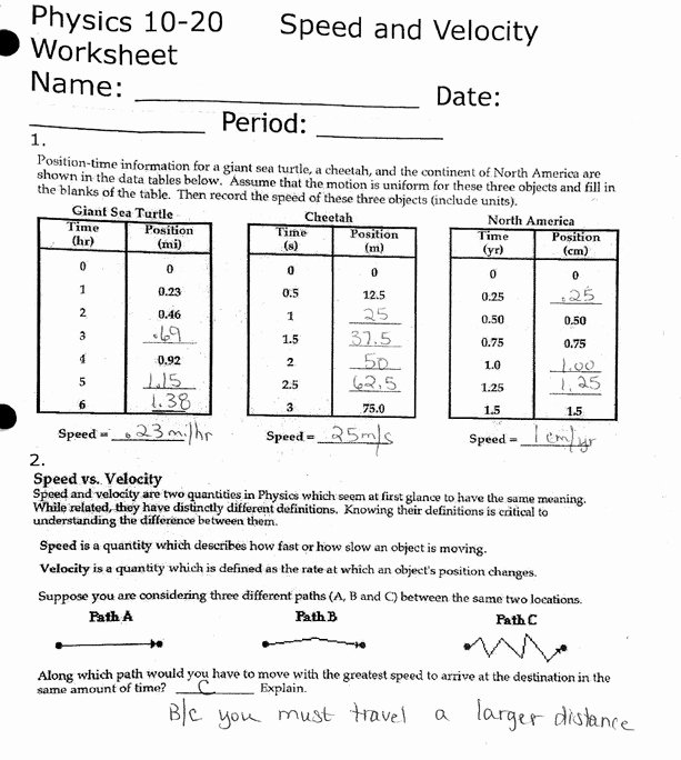 Speed Velocity and Acceleration Worksheet Fresh Speed and Velocity Worksheet