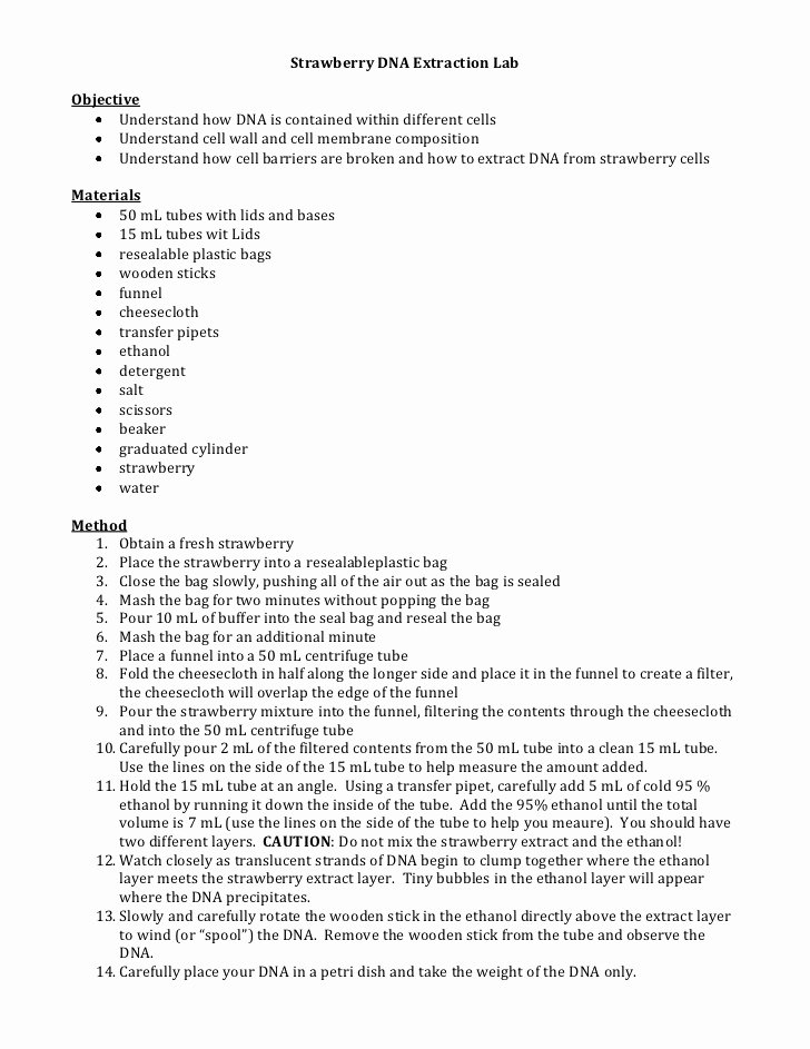 Strawberry Dna Extraction Lab Worksheet Best Of Dna Extraction Lab
