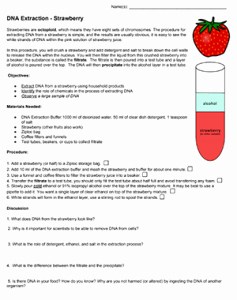 Strawberry Dna Extraction Lab Worksheet Fresh Dna Extraction – Strawberry