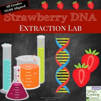 Strawberry Dna Extraction Lab Worksheet Fresh Strawberry Dna Extraction Lab by What S Cooking with Kids