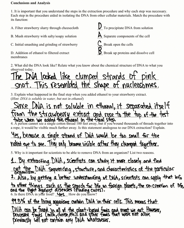 Strawberry Dna Extraction Lab Worksheet New Lessons 1 3 Chushhs2017