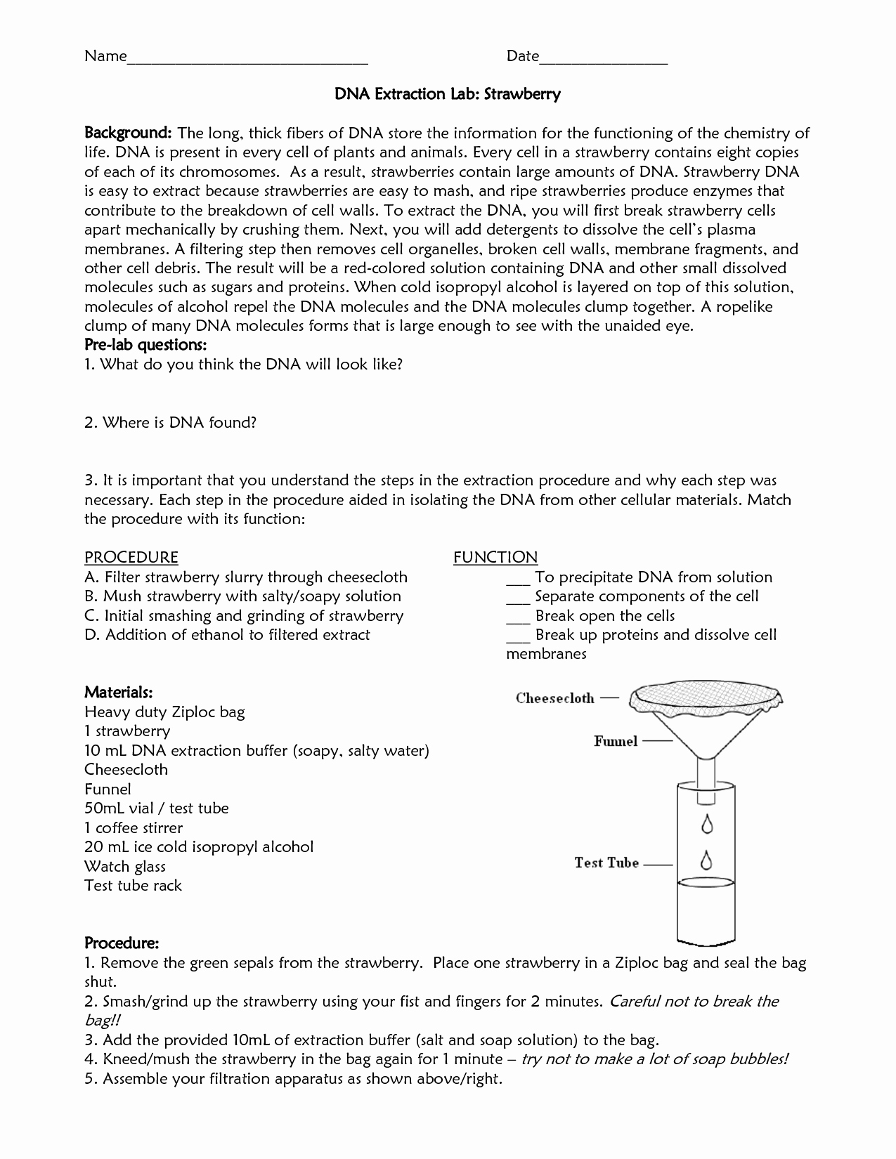 Strawberry Dna Extraction Lab Worksheet Unique 15 Best Of Dna Extraction Worksheet Dna