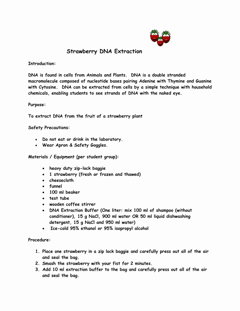 Strawberry Dna Extraction Lab Worksheet Unique Strawberry Dna Extraction