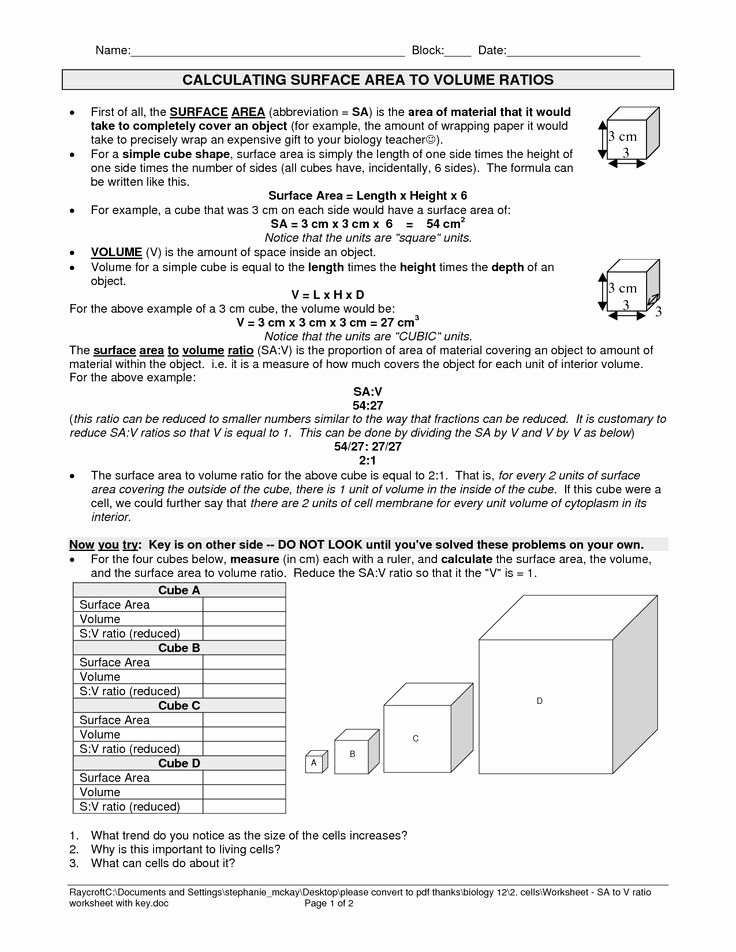 Surface area and Volume Worksheet Lovely Surface area to Volume Ratio Cells Worksheet Google
