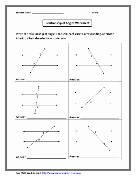 Symbiosis Worksheet Answer Key Beautiful Relationship Of Angles Worksheet for 7th 8th Grade