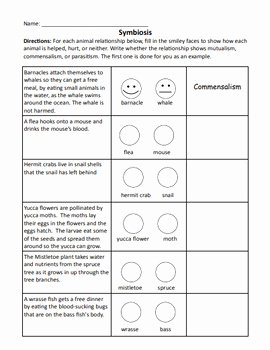 Symbiotic Relationships Worksheet Answers Fresh Symbiotic Relationships Worksheet by Lafountaine Of