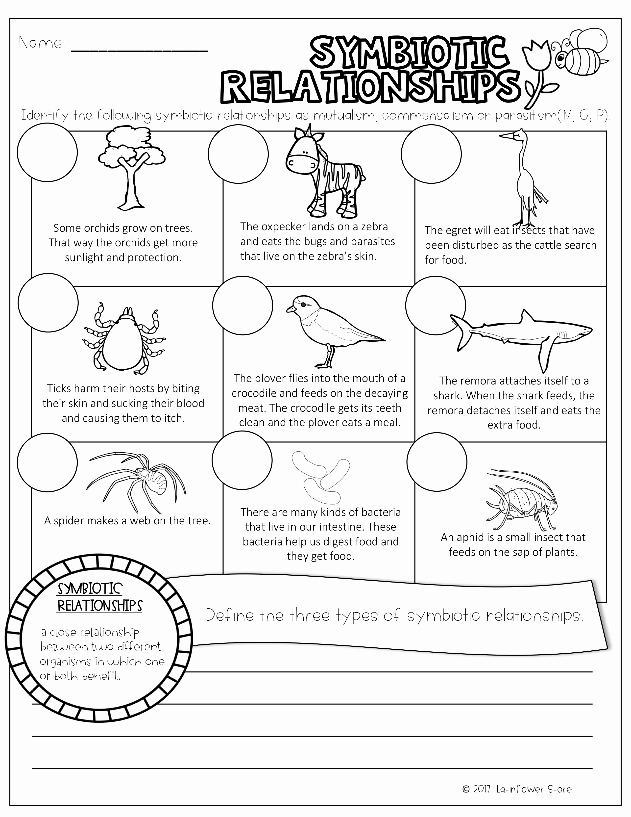 Symbiotic Relationships Worksheet Answers Inspirational Symbiotic Relationships English and Spanish Versions