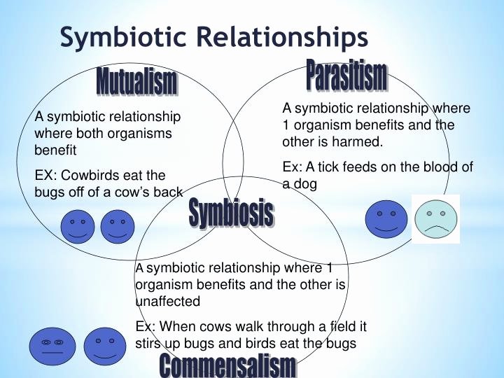 Symbiotic Relationships Worksheet Good Buddies Beautiful Ppt Munity Interactions Powerpoint Presentation Id