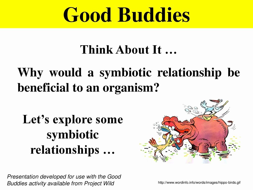 50 Symbiotic Relationships Worksheet Good Buddies