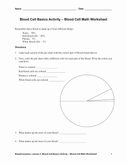 Temperature Conversion Worksheet Answers Beautiful Temperature Conversion Worksheet Answers