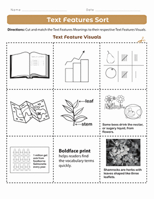 Text Features Worksheet 2nd Grade Beautiful Informational Text Close Reading