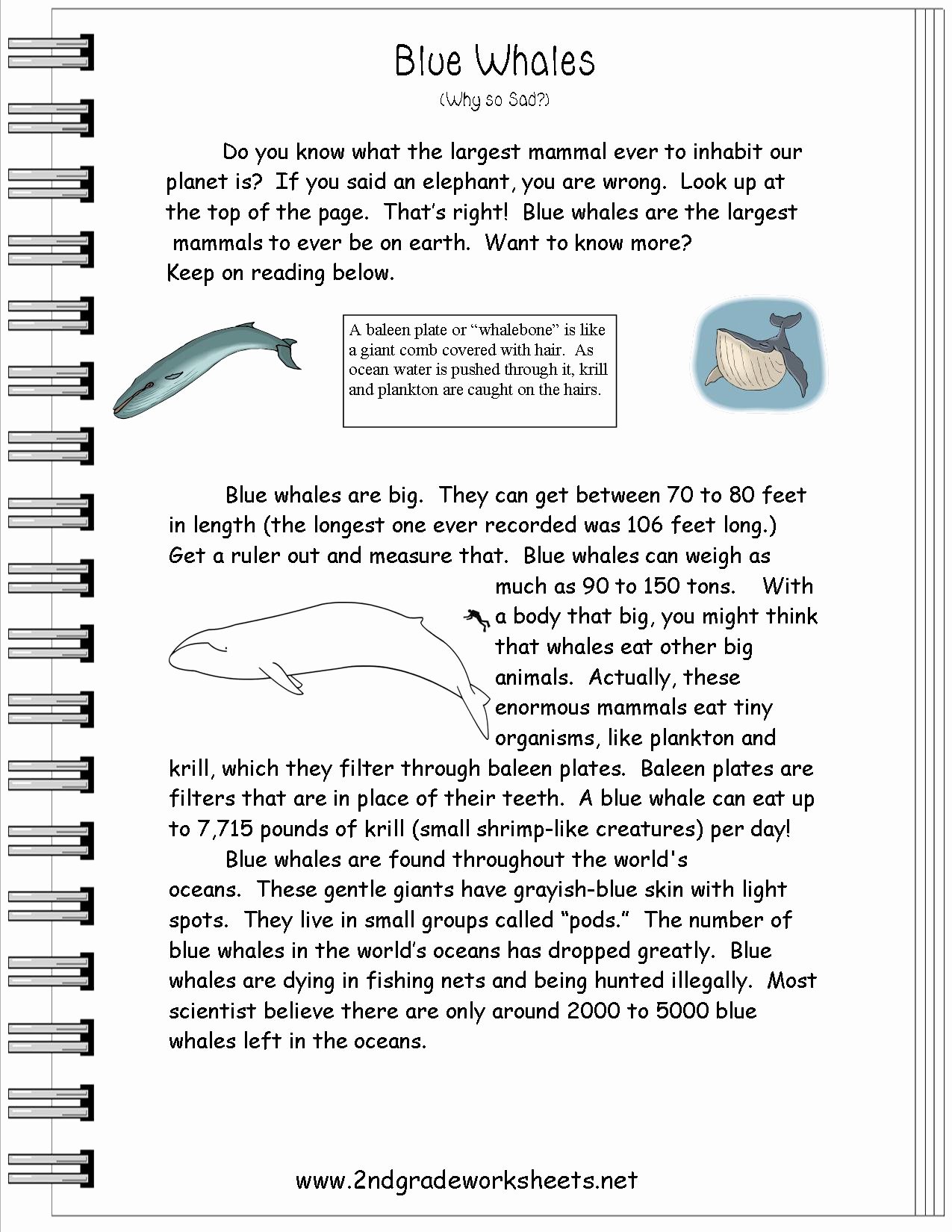 Text Features Worksheet 2nd Grade Beautiful Reading Informational Text Worksheets