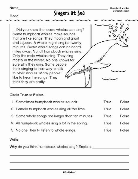 Text Features Worksheet 2nd Grade Best Of Reading Prehension Worksheet Nonfiction Whales