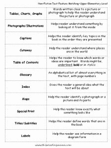 Text Features Worksheet 2nd Grade Inspirational 107 Best Graphic sources Text Features Images