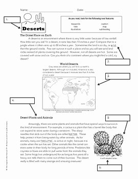 Text Features Worksheet 2nd Grade Lovely Using Text Features Worksheet Deserts by Jessica Rivera