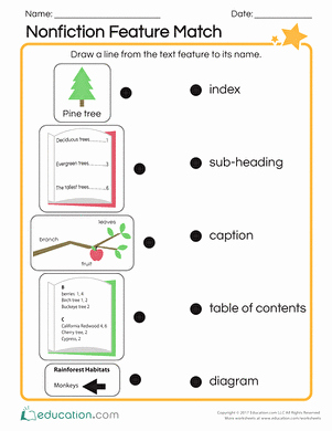 Text Features Worksheet 2nd Grade Unique Nonfiction Text Feature Worksheets Second Grade