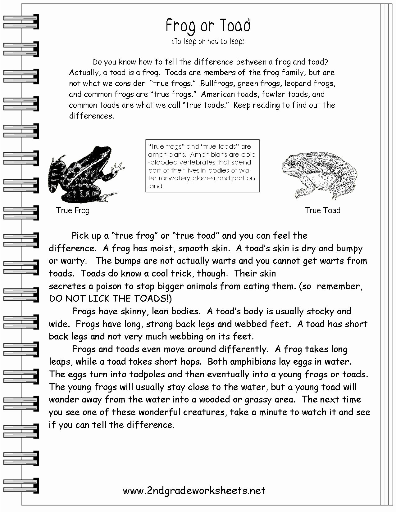 Text Features Worksheet 3rd Grade Awesome 15 Best Of Informational Text Features Worksheets