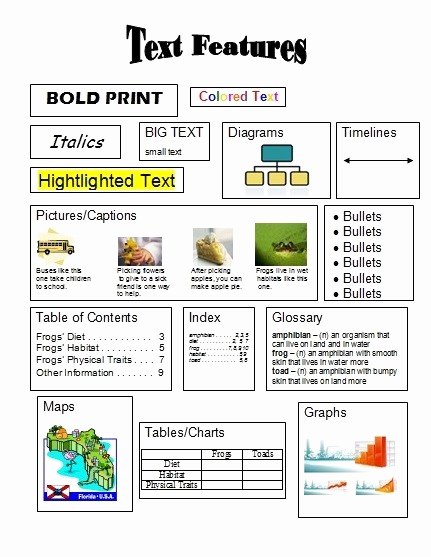 Text Features Worksheets 3rd Grade