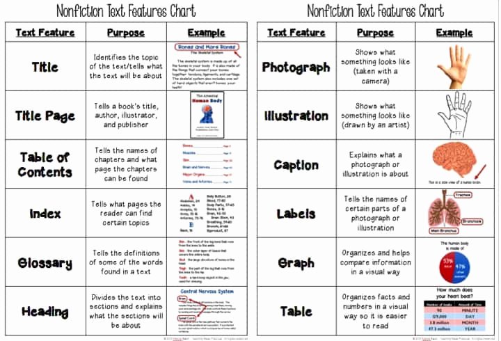 Text Features Worksheet Pdf