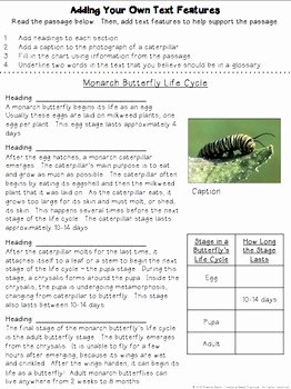 Text Features Worksheet Pdf New Nonfiction Text Features Activities Centers Posters