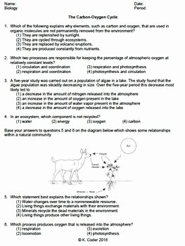 The Carbon Cycle Worksheet Answers Awesome 30 Best the Carbon Cycle Images On Pinterest
