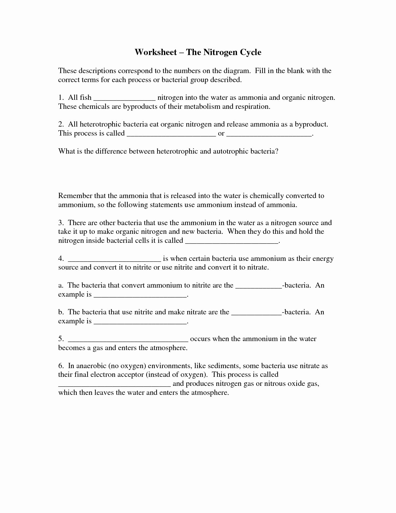 The Carbon Cycle Worksheet Answers Inspirational 13 Best Of Carbon Cycle Worksheet Answers Carbon