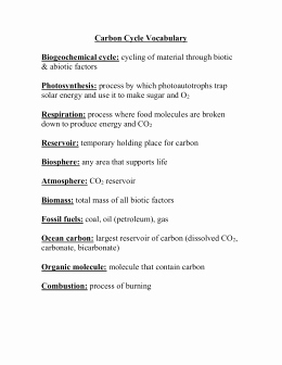 The Carbon Cycle Worksheet Answers Inspirational Section 3 4 Worksheetdifiedwers
