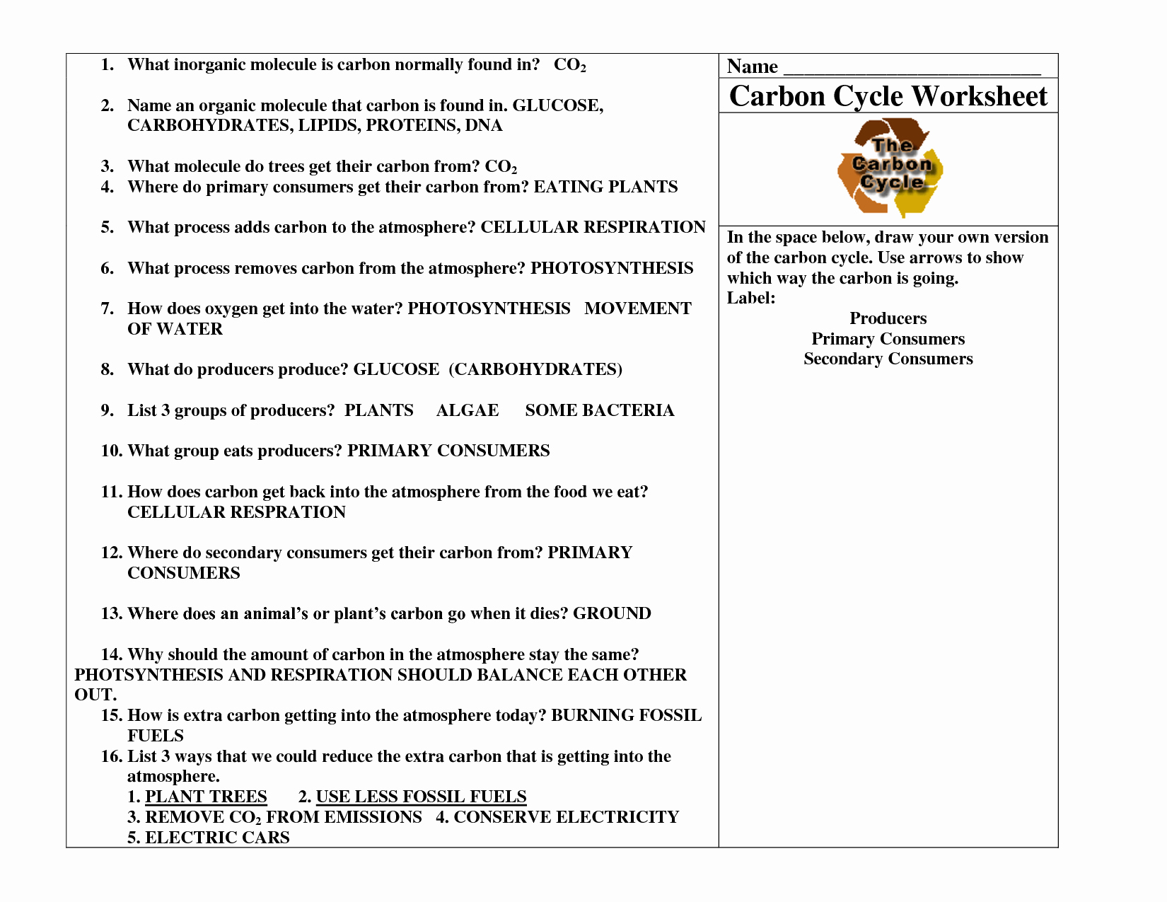 The Carbon Cycle Worksheet Answers Lovely 17 Best Of Nitrogen Cycle Worksheet Middle School