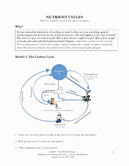 The Carbon Cycle Worksheet Answers Lovely Nutrient Cycles Water Cycle Answers