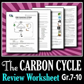 The Carbon Cycle Worksheet Answers Luxury the Carbon Cycle Review Worksheet Editable by Tangstar