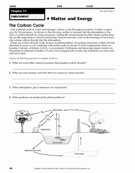 The Carbon Cycle Worksheet Answers Luxury the Carbon Cycle Worksheet for 5th 12th Grade
