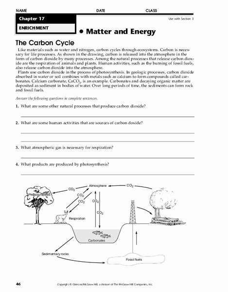 Carbon Cycle Worksheet Answers