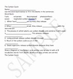 The Carbon Cycle Worksheet Best Of Carbon Cycle Worksheet