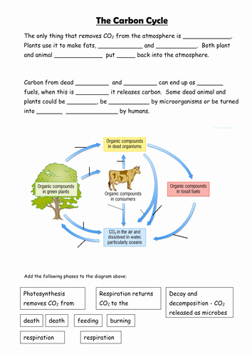 The Carbon Cycle Worksheet Elegant Carbon Cycle by Sian Jones Teaching Resources Tes