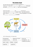 The Carbon Cycle Worksheet Fresh Carbon Cycle by Sian Jones
