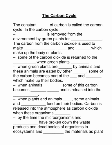 The Carbon Cycle Worksheet Fresh Carbon Cycle Cloze by Bobfrazzle