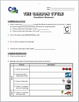 The Carbon Cycle Worksheet Inspirational the Carbon Cycle Powerpoint Worksheet Editable by