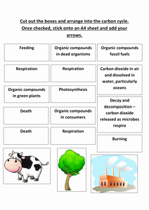 The Carbon Cycle Worksheet Lovely B1 5 4 Carbon Cycle Resources Tes