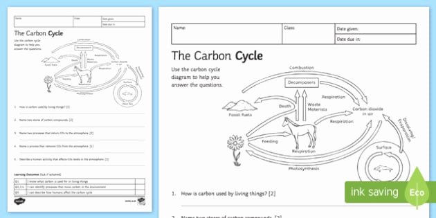 The Carbon Cycle Worksheet Lovely Carbon Cycle Worksheet