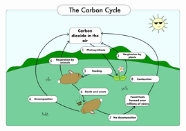 The Carbon Cycle Worksheet Luxury Gcse Biology Carbon Cycle Worksheets and A3 Wall Posters