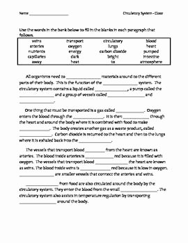 The Cardiovascular System Worksheet Best Of Cloze Circulatory System 5 9