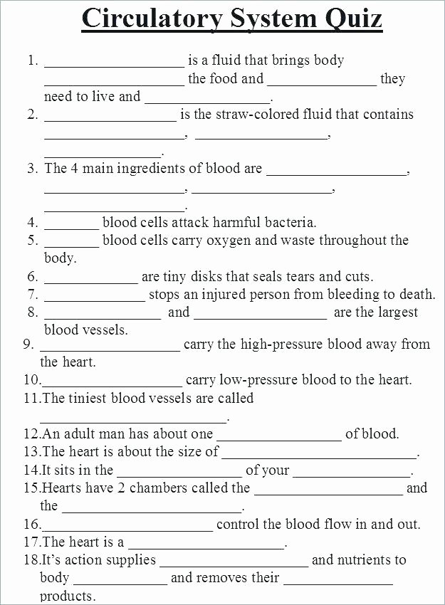 The Cardiovascular System Worksheet Lovely Circulatory System Labeling Worksheets – Morningknits