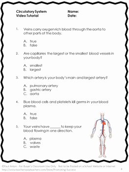 The Cardiovascular System Worksheet Unique Free Circulatory System Worksheet Human Body Systems