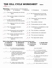 The Cell Cycle Worksheet Answers Best Of A Prophase D Metaphase G Chromatid J Spindle Fiber B