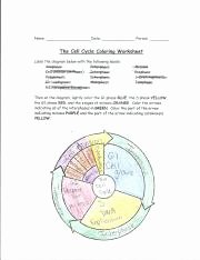 The Cell Cycle Worksheet Answers New Cell Cycle Coloring Worksheet Name Date Period the Cell