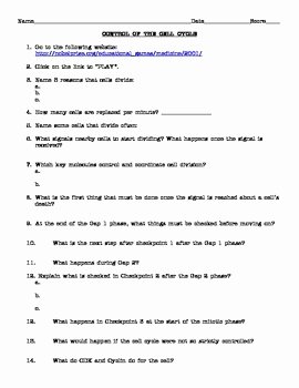The Cell Cycle Worksheet Lovely Control Of the Cell Cycle Worksheet by the Biology Depot
