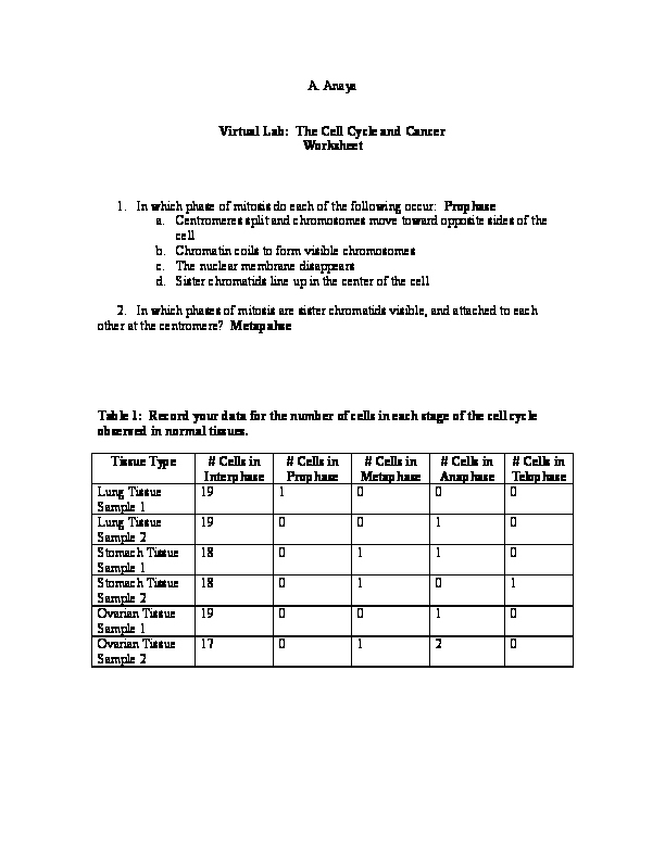 The Cell Cycle Worksheet Unique Doc the Cell Cycle and Cancer Worksheet 1