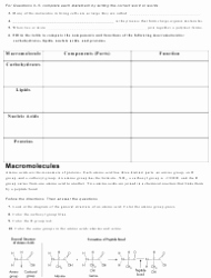 The Chemistry Of Life Worksheet Unique Carbon Pounds Worksheet Chapter 2 3 the Chemistry Of