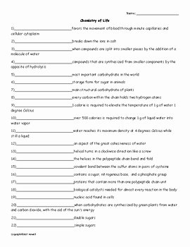 The Chemistry Of Life Worksheet Unique Chemistry Of Life Vocabulary Quiz or Worksheet for Zoology